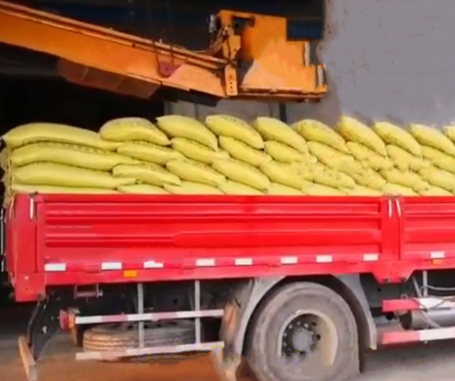 自(zi)動裝車(chē)機 碼垛(duo)裝車機(jī)